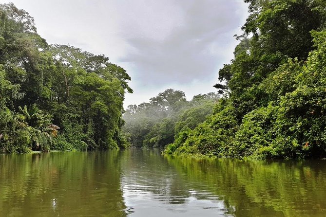 Full Day at Tortuguero Wild Life Observation at Caribbean Side All Inclusive - Good To Know