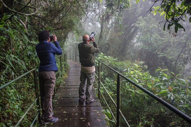 Full Day Bird Sighting Tour in Serra Dos Orgaos Region - Good To Know
