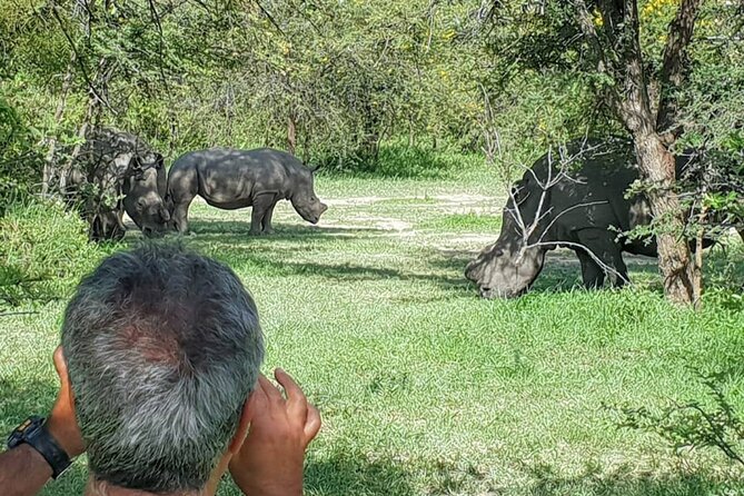 Full-Day Black Rhino Matobo Hills, Tracking and Historic Sites - Good To Know