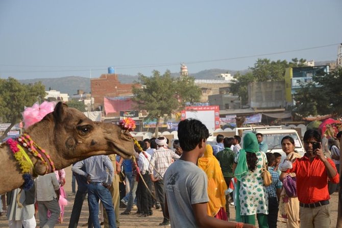 Full Day City Tour of New Delhi With Lunch - Tour Overview
