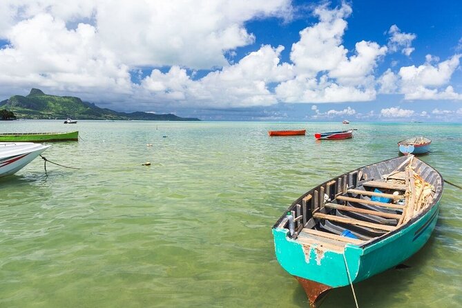 Full-Day East Coast Tour, ALL INCLUSIVE Day Trip, Private SUV Car With Guide - Good To Know