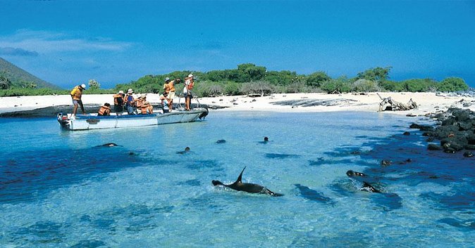 Full Day Española Island - Good To Know