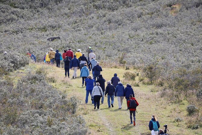 Full-day Estancia Visit and Condor Watching - Good To Know