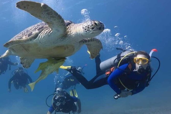 Full Day Experience in Marsa Mubarak With Diving and Lunch - Good To Know