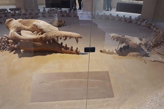 Full Day Fayoum Oasis and Waterfalls of Wadi El-Rayan - Good To Know