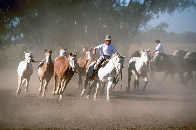 Full Day Fiesta Gaucha (From Buenos Aires) - Good To Know