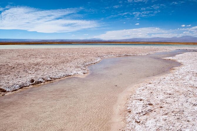 Full Day Geyser Del Tatio + Cejar Lagoon Shared Tour - Good To Know