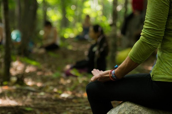 Full Day Guided Meditation Tour With Lunch - Good To Know