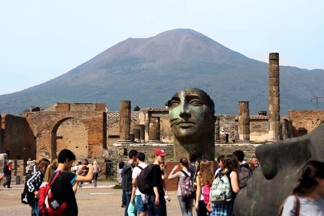 Full-Day Guided Pompeii Ruins and Wine Tasting Tour - Inclusions and Exclusions