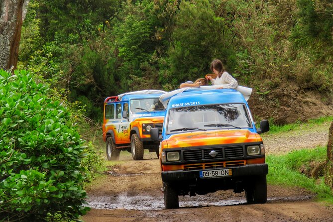 Full Day Guided Tour to The Charms of Northeast Madeira - Optional Extras