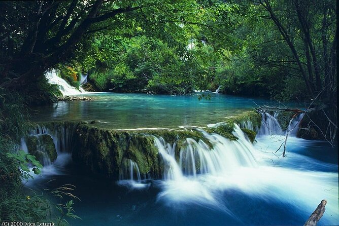 Full-Day Guided Trekking Tour in Bach Ma National Park Vietnam