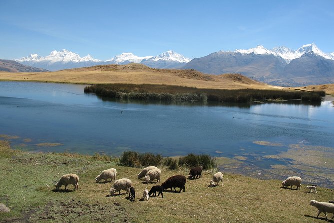 Full-Day Hike to Huilcaccoha Lake in the Cordillera Negra From Huaraz, Peru - Good To Know