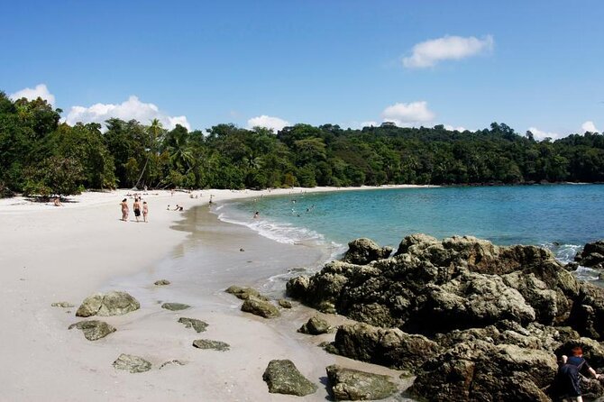 Full Day Hiking With Wild Life Watching at Manuel Antonio Park From San Jose - Good To Know