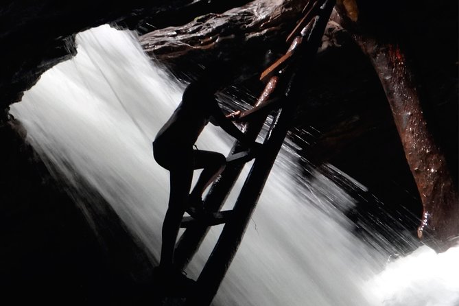Full-Day | Jungle, Canyon and Cavern Tour - Good To Know