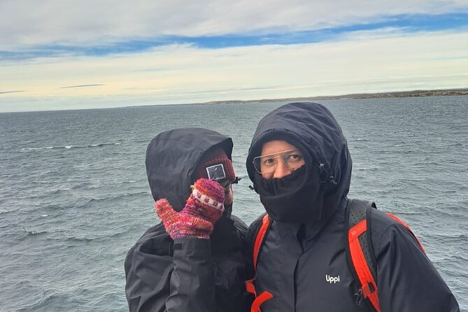 Full Day King Penguin - Private Tour - Tour Overview