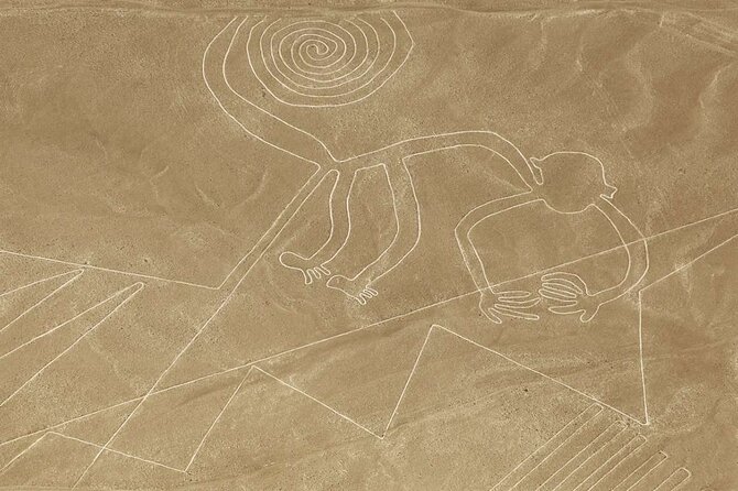 Full Day Nazca Lines Overflight and Departure From Ica - Good To Know