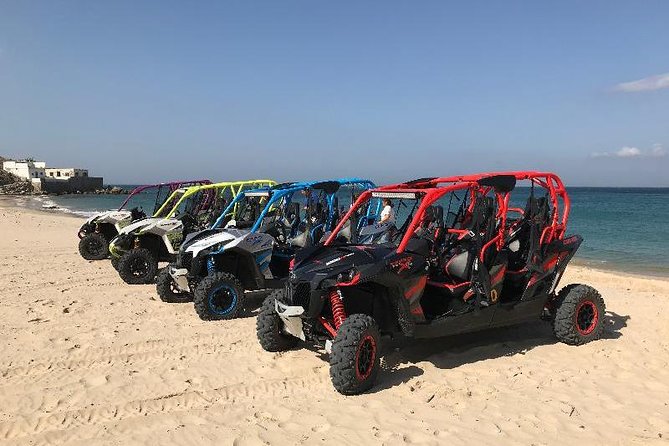 Full Day Package Tangier Half Day City Tour + Lunch + Buggy Excursion - Good To Know