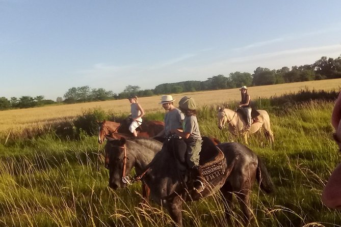 Full Day: Pool, Picnic, Guided Horseback Riding and Dinner - Good To Know