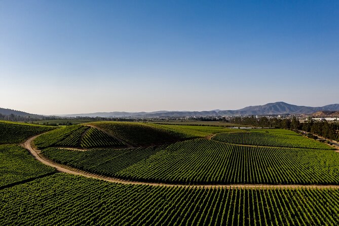 Full-Day Private Casablanca Valley Wine Tour From Santiago - Good To Know