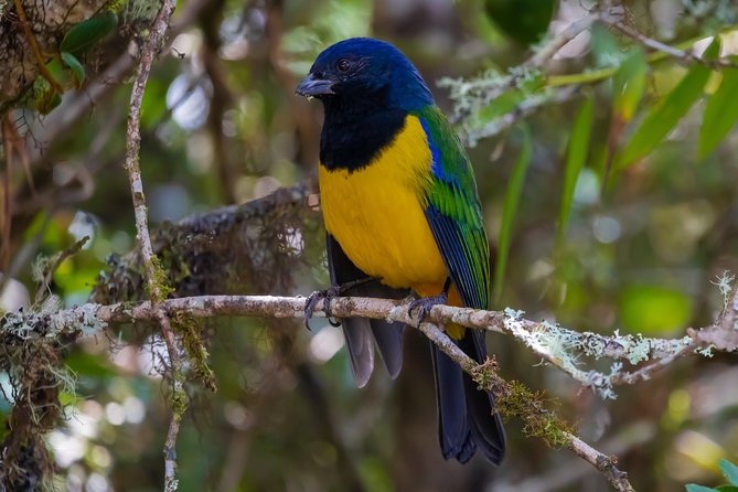 Full-Day Private Guided Sightseeing Tour of Yanacocha Reserve