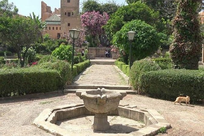 Full-Day Private Guided Tour to Rabat From Fez