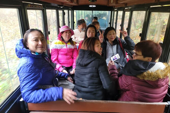 Full-Day Private Jumbo Taxi Tour - East of Jeju Island (Unesco) - Good To Know