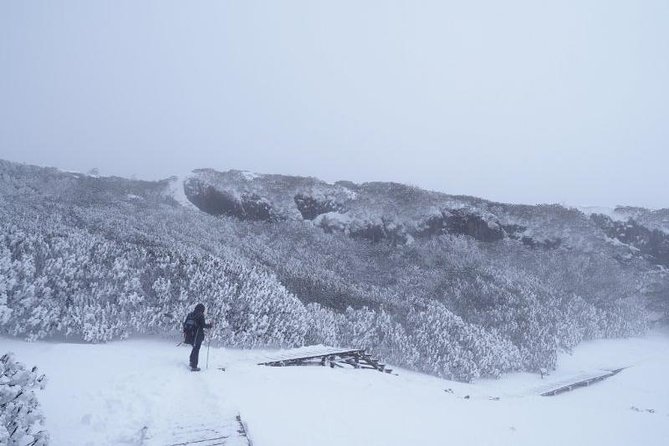 Full Day Private Kunming Sedan Chair Snow Mountain Tour