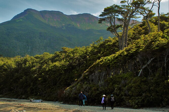 Full Day Private Patagonian Andes Summit Hike - Good To Know