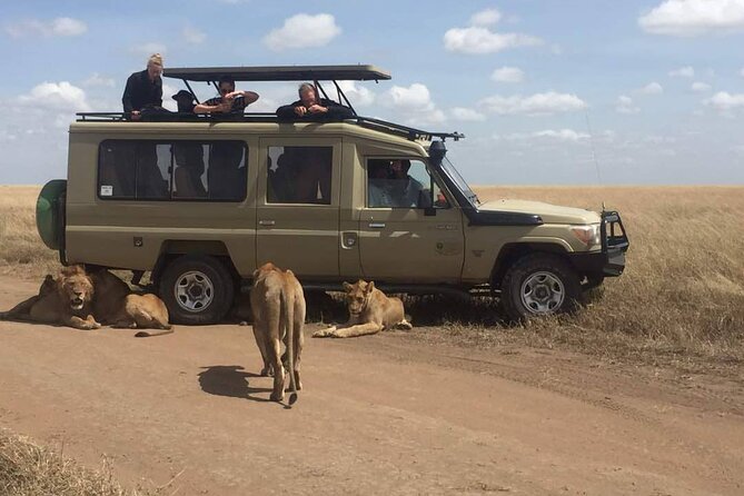 Full-Day Private Serengeti National Park Safari With Breakfast - Good To Know