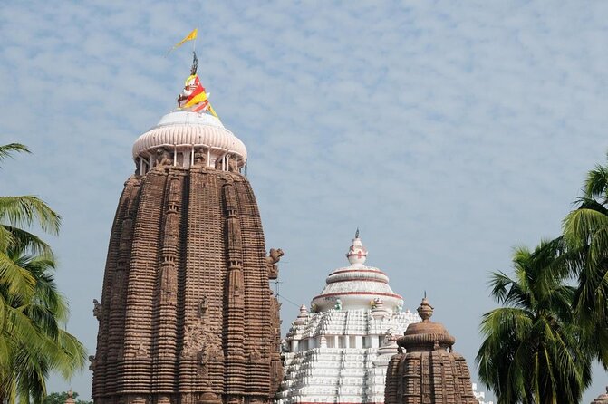 Full Day Private Tour to Konark Temple and Puri From Bhubneswar - Good To Know