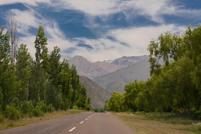 Full Day Private Uco Valley Wine Tour From Mendoza - Itinerary Overview