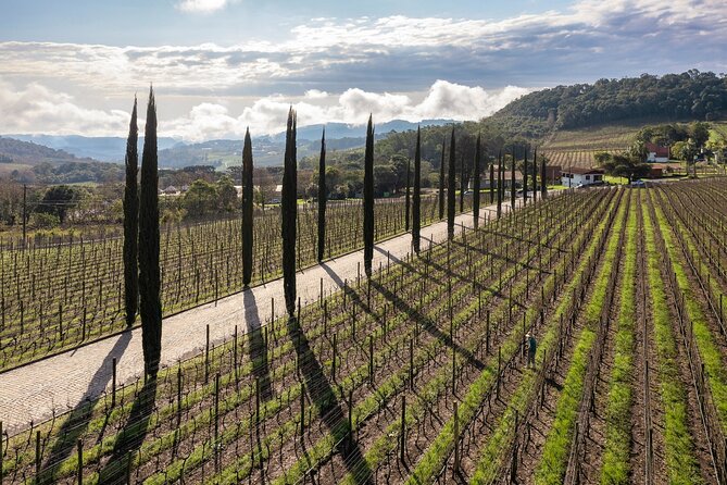 Full-Day Private Vale Dos Vinhedos Wine Tour From Porto Alegre - Good To Know