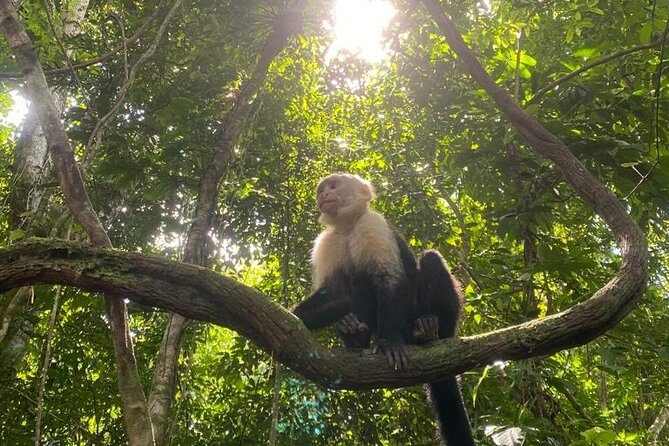 Full-Day Shared Tour in Manuel Antonio With Lunch - Tour Location