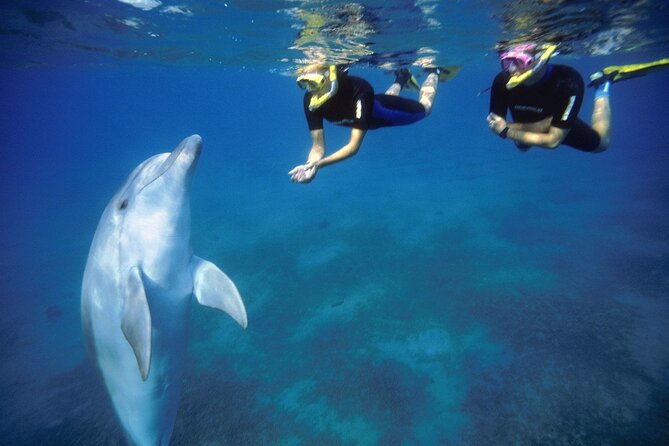 Full Day Snorkeling and Dolphin Watching in Hurghada - Good To Know