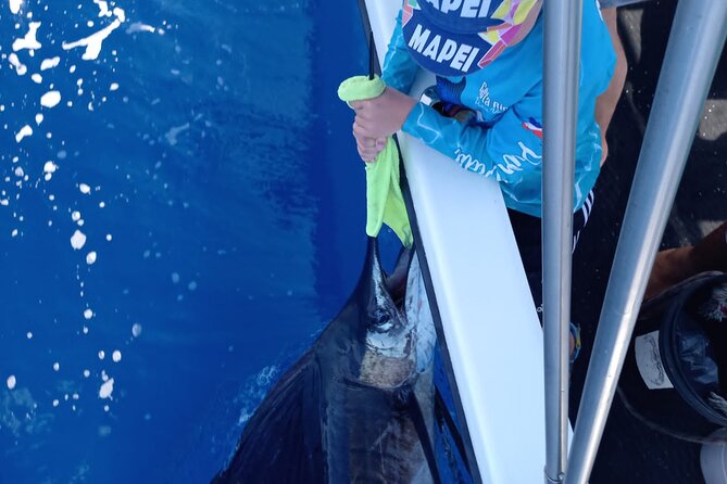 Full Day Sport Fishing Private Charter Flamingo Costa Rica - Good To Know