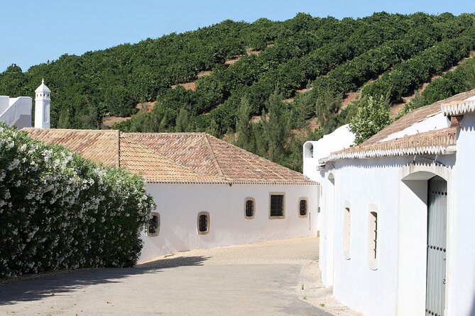 Full Day Tour in Silves With Wine Tasting - Good To Know