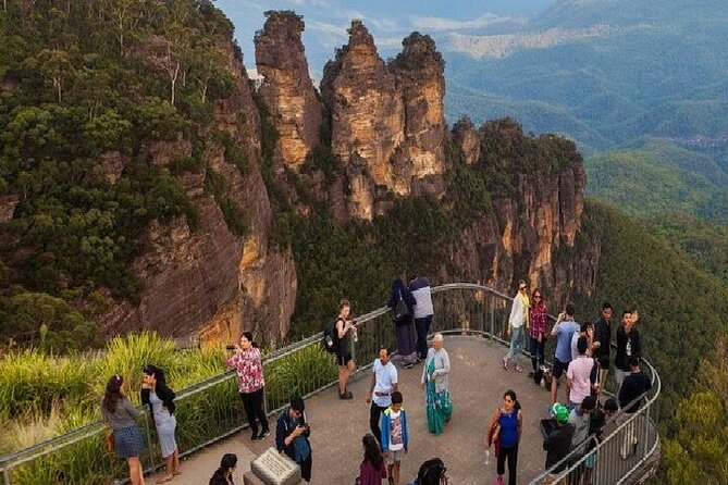 Full Day Tour Of Munnar