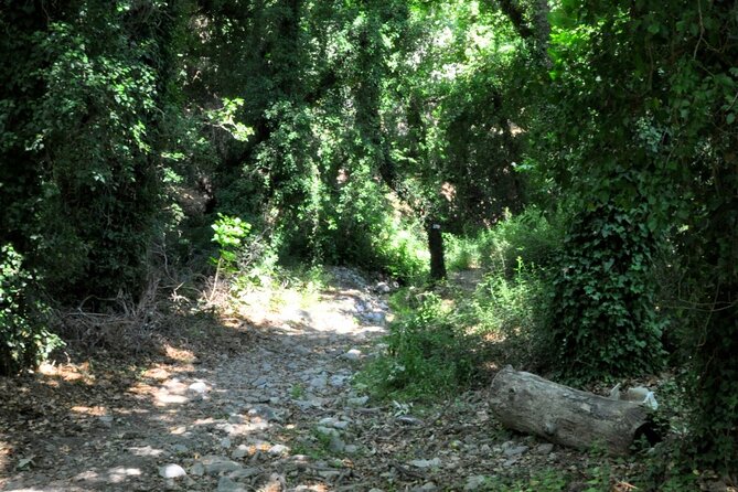 Full Day Tour: Richtis Waterfall, Mochlos & Voulisma Beach Escape - Good To Know
