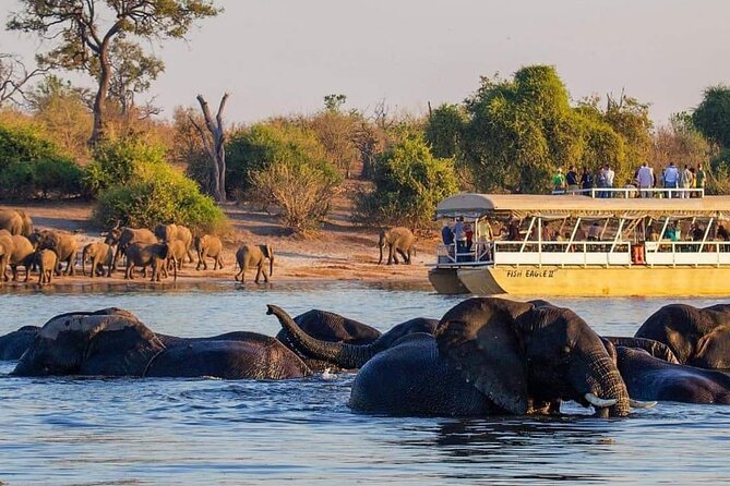 Full Day Tour to Chobe National Park and Botswana - Good To Know