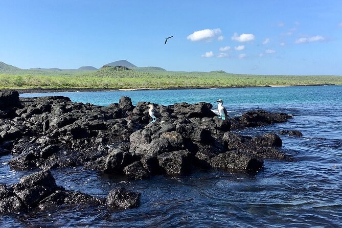 Full-Day Tour to Floreana Island, Cave of Pirates and Punta Cormorant - Good To Know