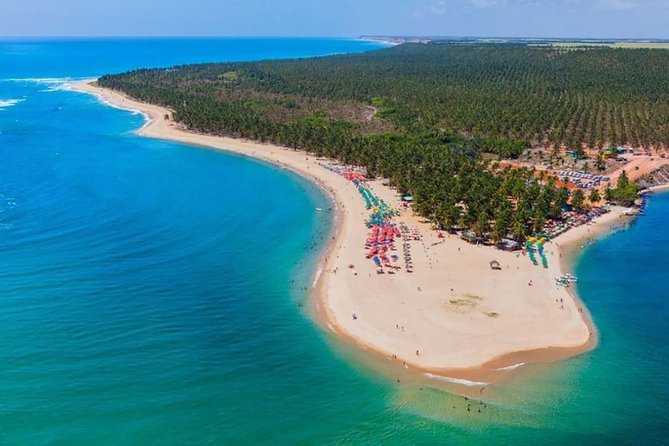 Full Day Trip to Gunga Beach From Maceió - Good To Know