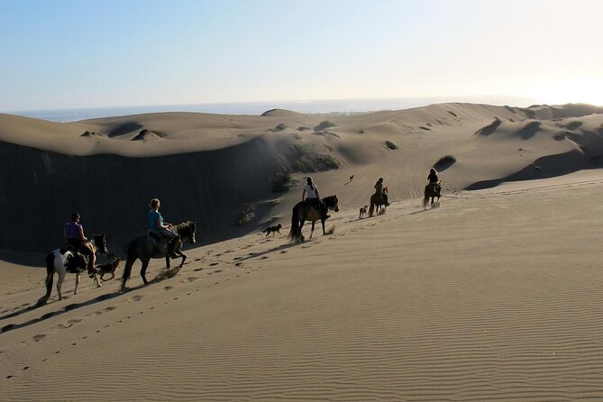 Full Day Valparaiso, Winery ,Dunes Horse Ridding & BBQ - Santiago - Good To Know