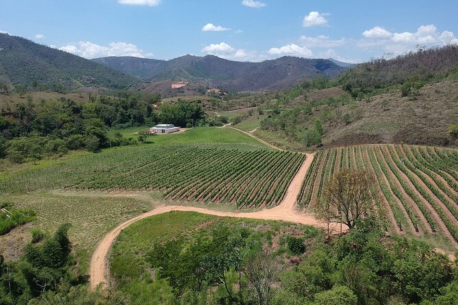 Full-Day Winery Tour From Rio - Good To Know