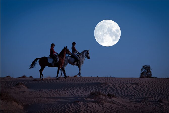 Full Moon Horse Riding in Dubai - Good To Know