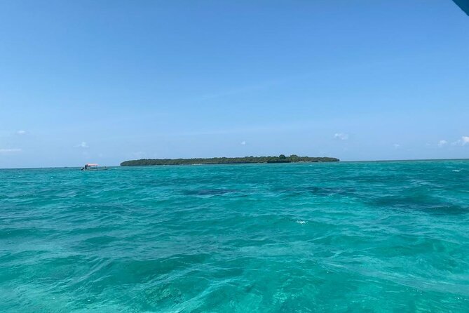 Fullday Pungume Island Snorkeling and More With Lunch Buffet - Good To Know