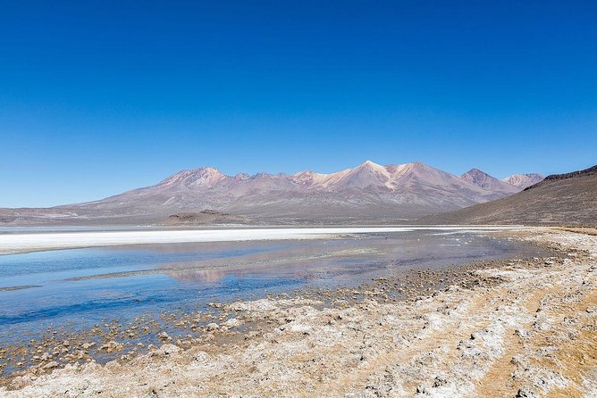 Fullday: Salinas Lagoon From Arequipa - Good To Know
