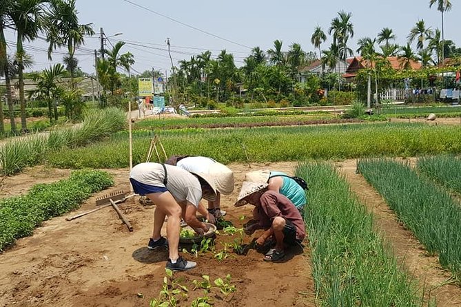 Fullday Tour to Visit My Son Holyland & Experience Daily Life of Hoi an People - Pickup Information