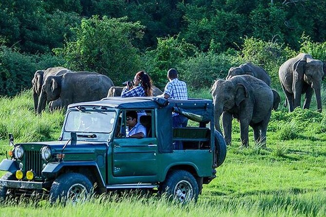 Gal Oya Safari and Vedda Safari Day Trip From Pasikuda/Kalkuda - Good To Know