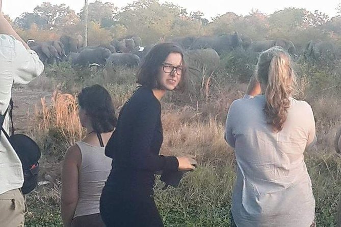 Game Drive and Rhino Walk - Wildlife Spotting Opportunities