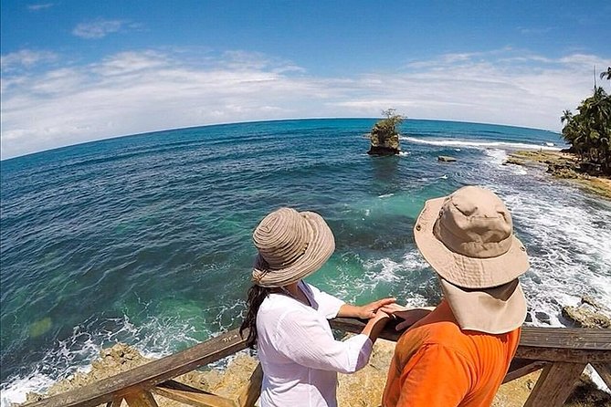 Gandoca - Manzanillo Trail & Great Green Macaw Tour - Tour Details